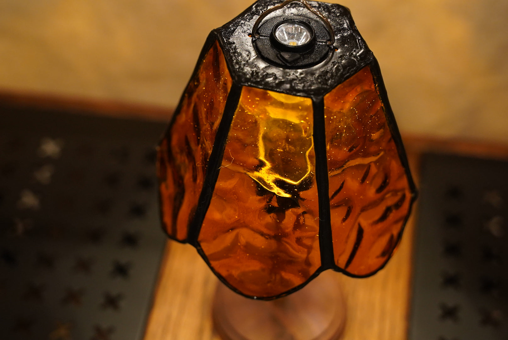 ユーフォルビア