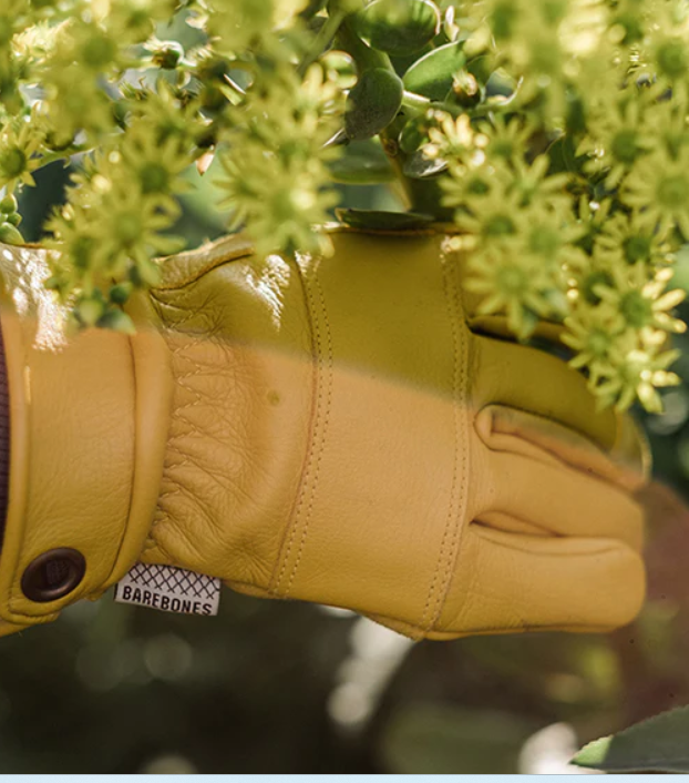 クナール ユーティリティグローブ ナチュラル