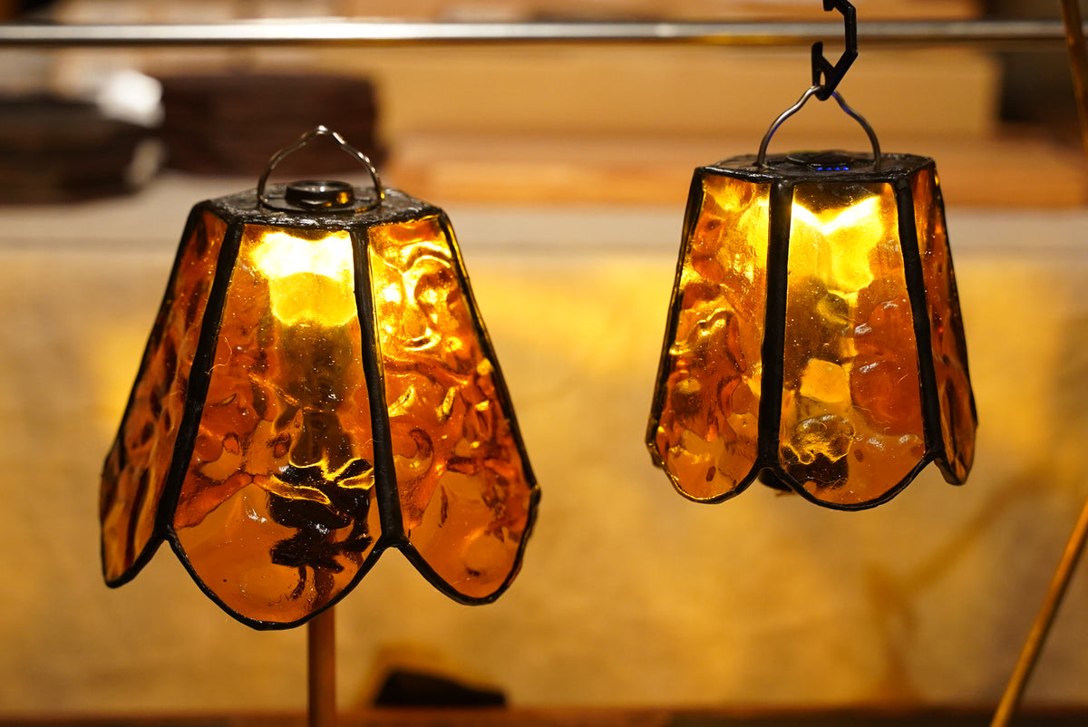 ユーフォルビア