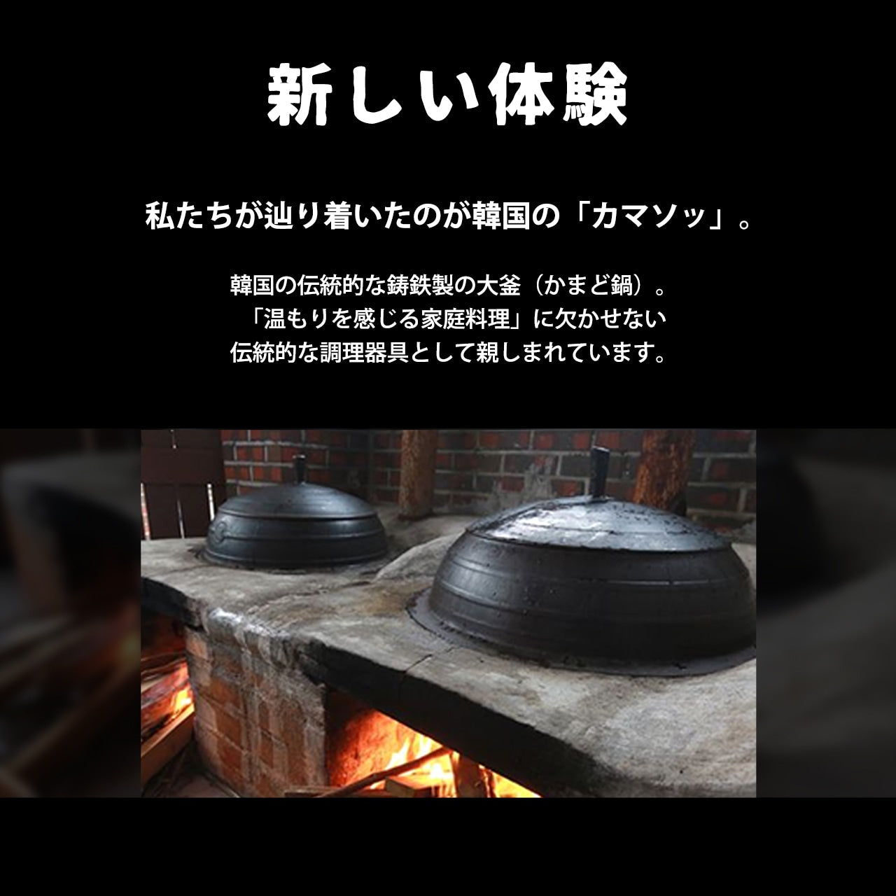 マルチカマ収納ケースセット