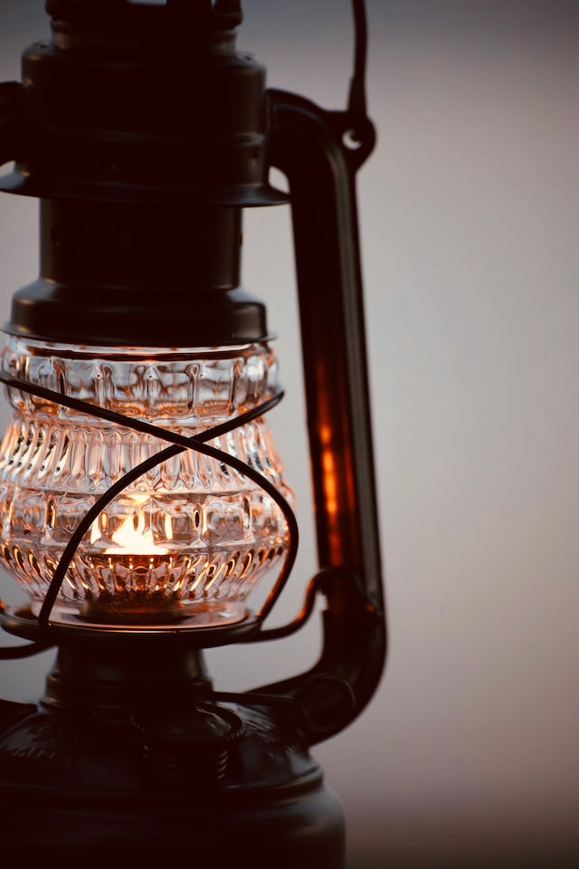 ヤマトキジャネフォー/ウルカグアリー/デイツ78