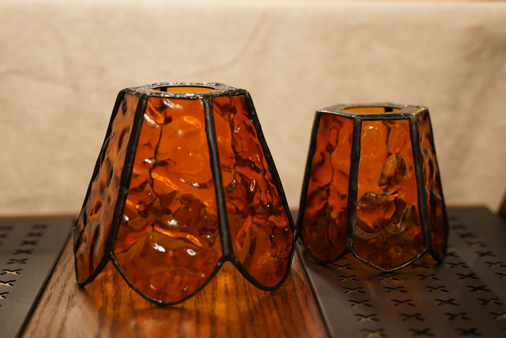 ユーフォルビア