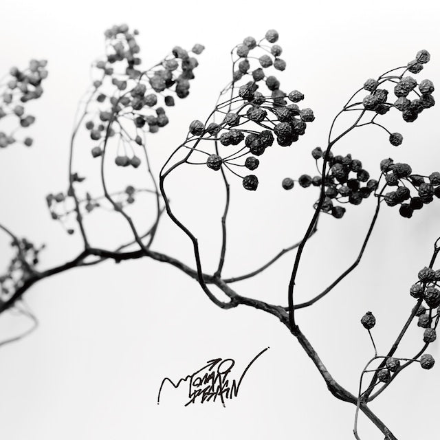 『Lamp Shelter』-3g-