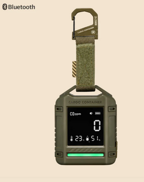 SAFE CO DETECTOR