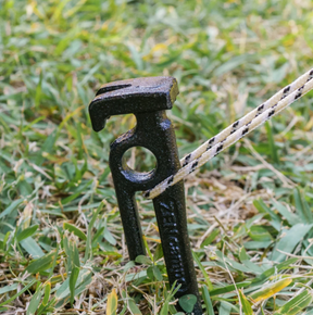 ZEN Anchor Stake