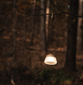 REEL LIGHT PRO