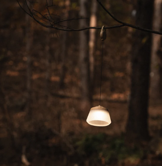 REEL LIGHT PRO