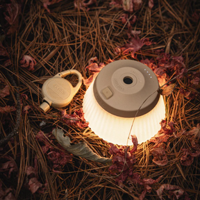 REEL LIGHT PRO