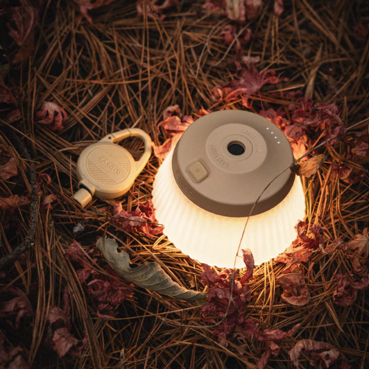 REEL LIGHT PRO