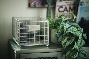 フォールディングワイヤーバスケット S　SUS Ver.